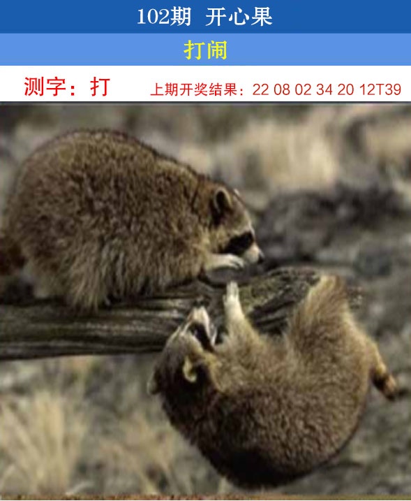 102期开心果[图]